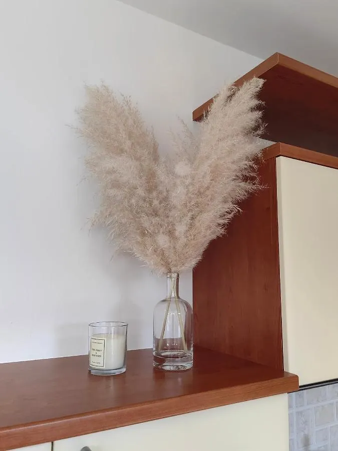 Sea View Apartment & Studio Apartment Bruno Umag